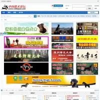 中国猎犬论坛