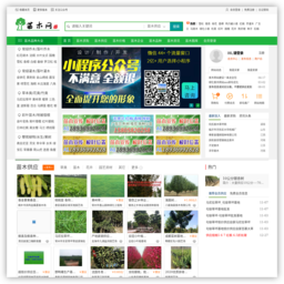 中国花木信息网
