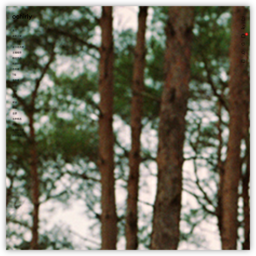 ochirly官方购物网