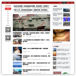 强国网