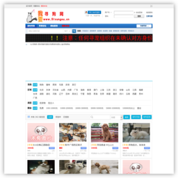 51寻狗网