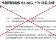 明查｜卡塔尔世界杯暴发“骆驼流感”？没有证据