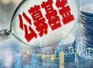 基金大举抄底半导体！华夏罕见增持，这10家公募也在抢筹，为何赶在年末？