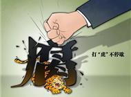 2022反腐记：32名中管干部被查，37名中管干部受处分