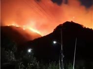 浙江玉环一村山火燃烧近两日波及多个村庄，当地：主火已被扑灭